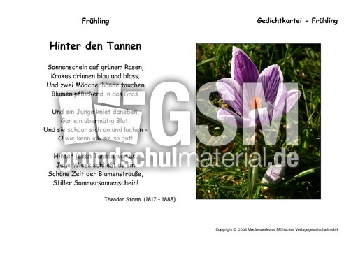 Hinter-den-Tannen-Storm.pdf